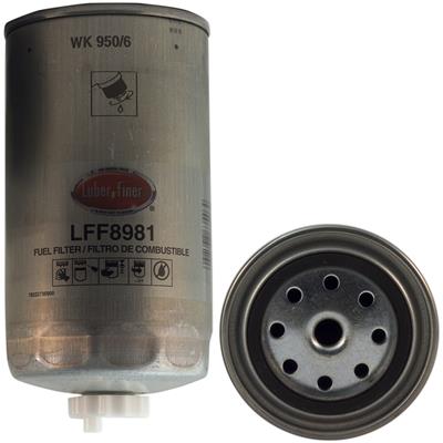 LFF8981 Image 2