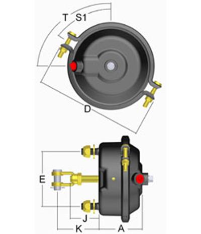 SC36 Image 1
