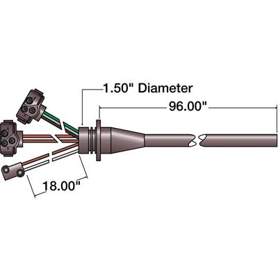 50209 Image 2