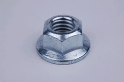 11600252 Image 1