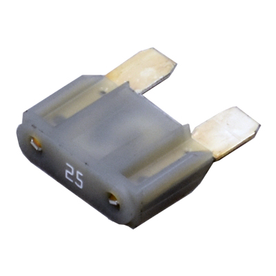 MAX25 Image 1