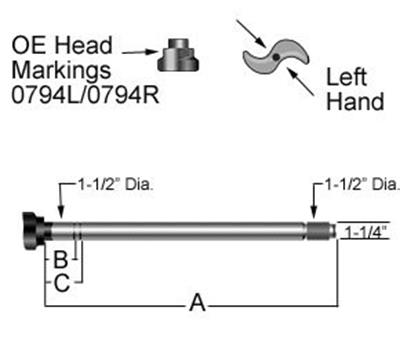 CS41363 Image 1