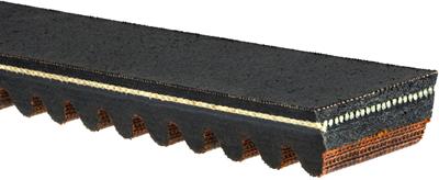 25G4076 Image 2