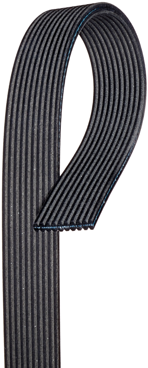 DK100744 Belt,Serpentine Gates