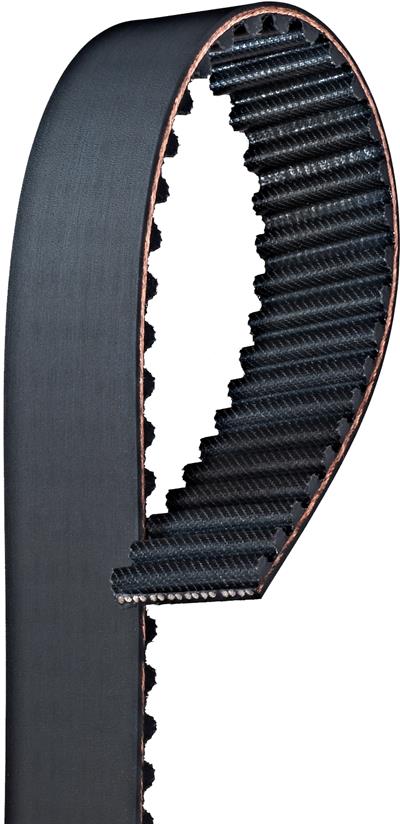 T259 Image 2