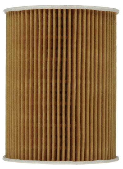 OX254D4 Image 3