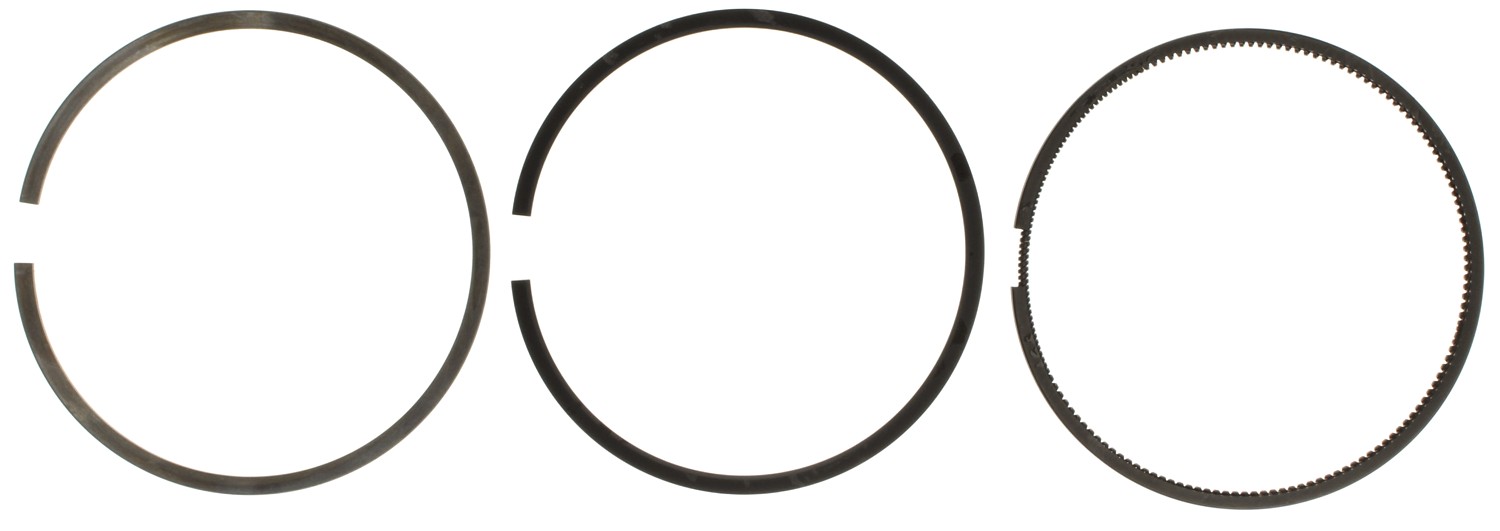 S42170.020 Piston Ring Set Mahle-Clevite Michigan