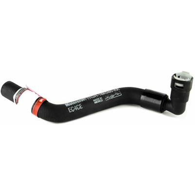 KH562 Image 1