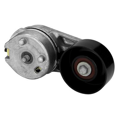BT81 Image 1
