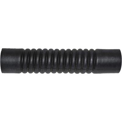 81091 Image 1