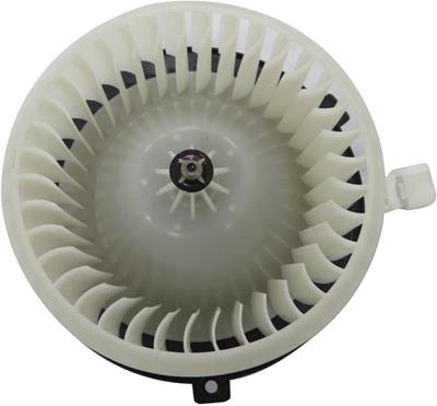 700309 Image 1