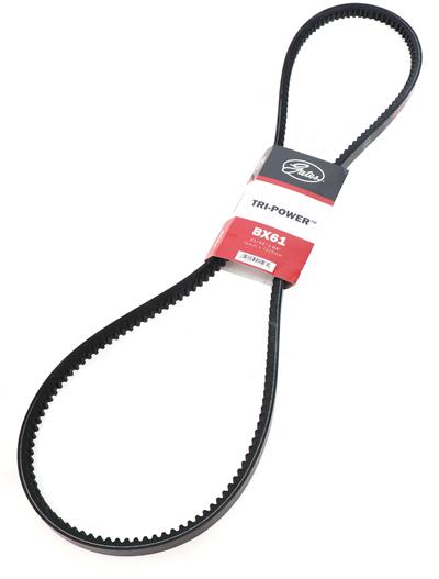 BX61 Image 1