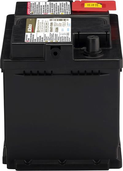 47AGMA Image 4