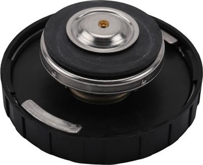 RC95 Image 3