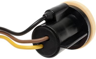 LS248 Image 3