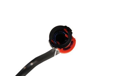 10381611 Image 4