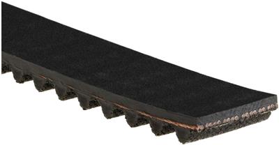 TB331 Image 6