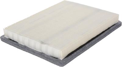 A2955C Image 2