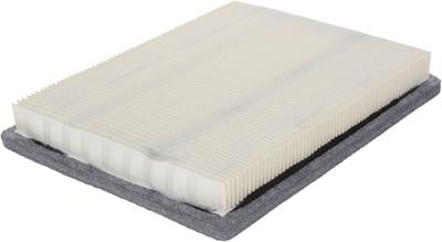 A2955C Image 3