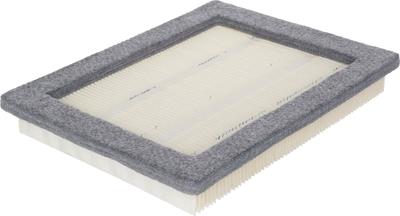 A2955C Image 1