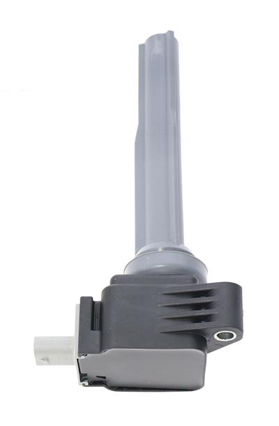 DG555 Image 2