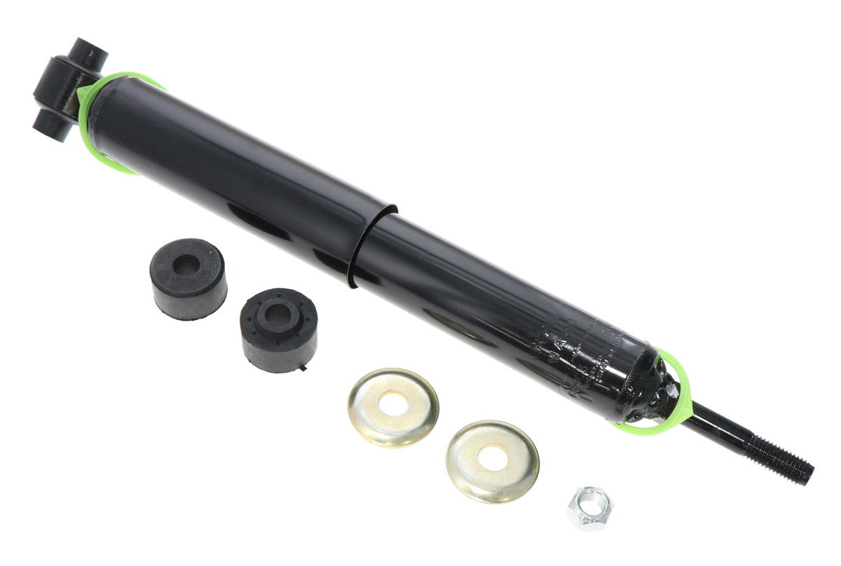 コロンビア産　キプリスモルフォ 111mm コロンビア産 キプリスモルフォ 111mm コロンビア産 キプリス