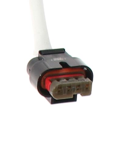 DY1289 Image 2