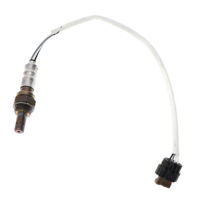 DY1289 Image 4