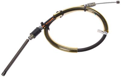 BRCA11 Image 1
