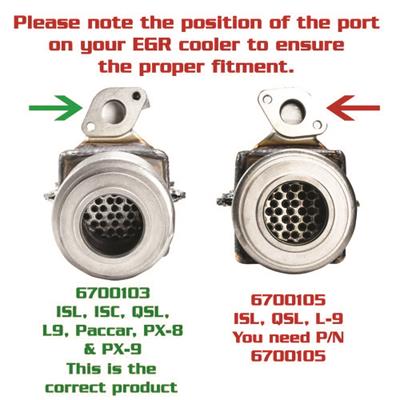 5566887CUM Image 2