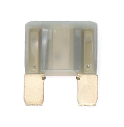 MAX25 Image 2