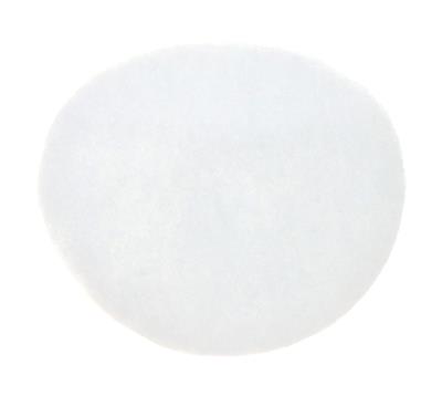 42998 Image 1