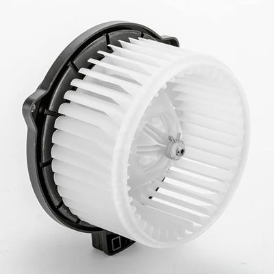 700286 Image 1