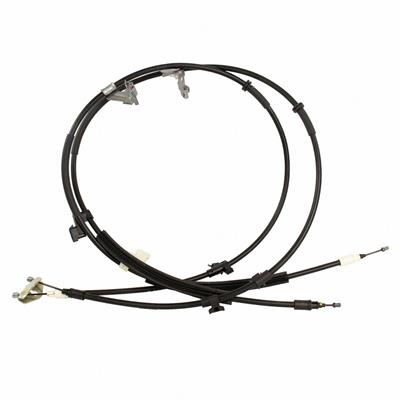 BRCA61 Image 1