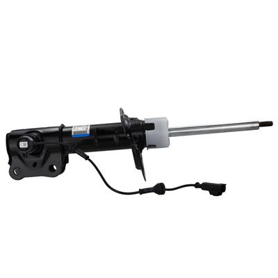 AST84750 Image 1