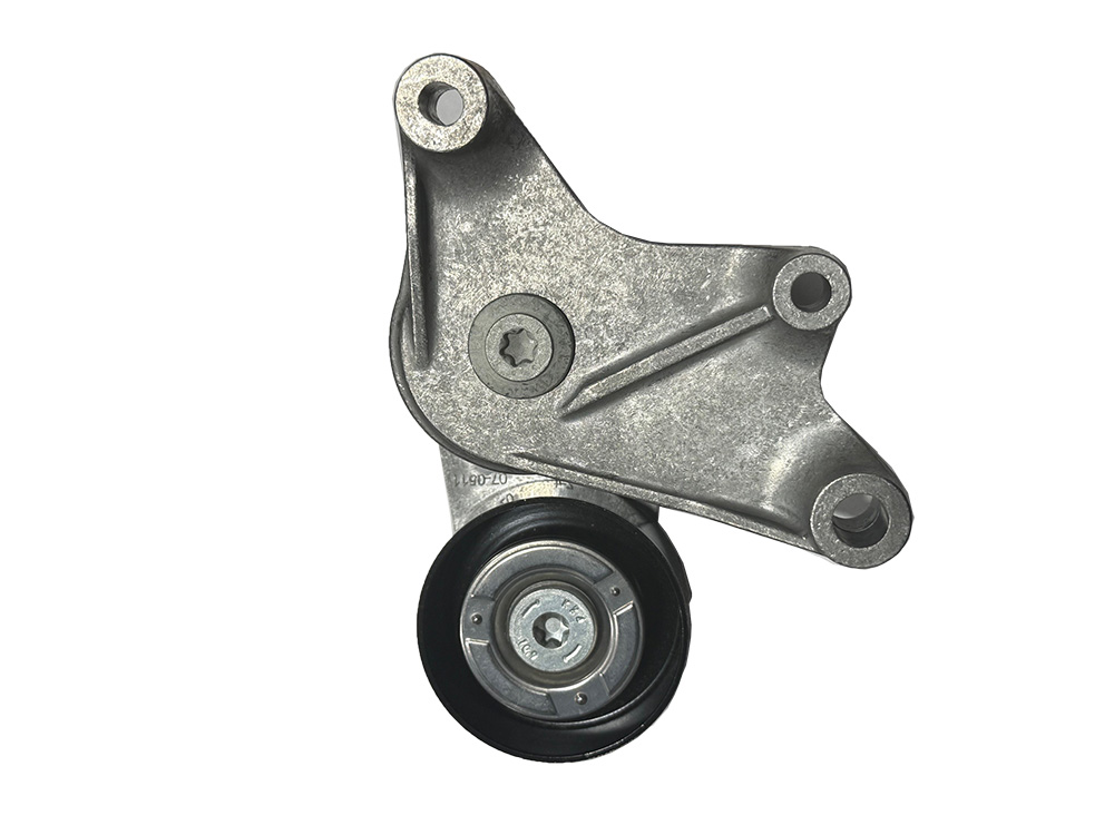 Febi Bilstein 06051 Tensioner Pulley For Auxiliary Belt Pack Of One